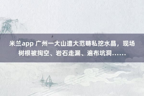 米兰app 广州一大山遭大范畴私挖水晶，现场树根被掏空、岩石走漏、遍布坑洞……