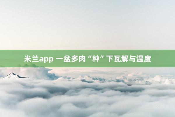 米兰app 一盆多肉“种”下瓦解与温度