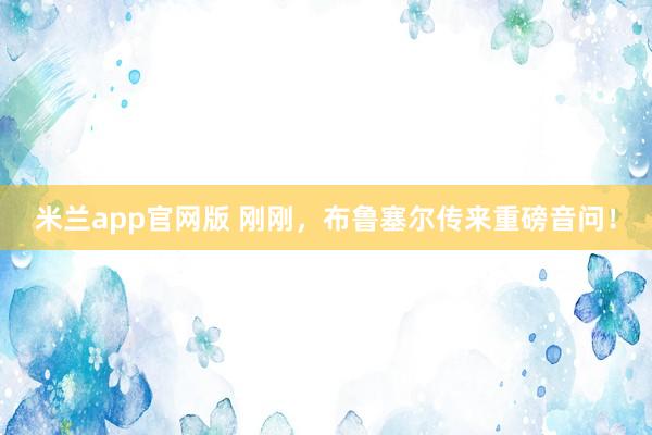米兰app官网版 刚刚，布鲁塞尔传来重磅音问！