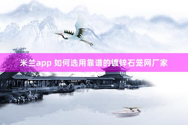 米兰app 如何选用靠谱的镀锌石笼网厂家