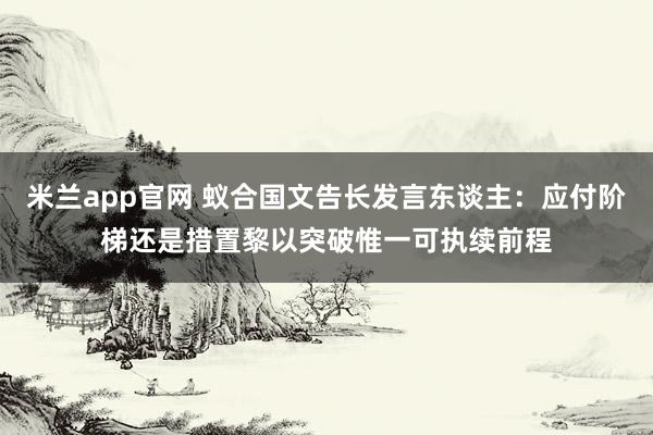 米兰app官网 蚁合国文告长发言东谈主：应付阶梯还是措置黎以突破惟一可执续前程
