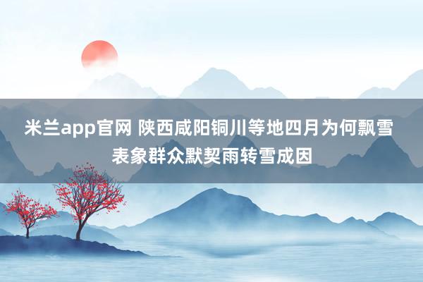 米兰app官网 陕西咸阳铜川等地四月为何飘雪 表象群众默契雨转雪成因