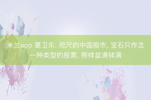 米兰app 葛卫东: 咫尺的中国股市， 宝石只作念一种类型的股票， 照样盆满钵满