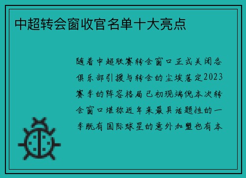 中超转会窗收官名单十大亮点